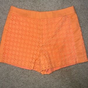 Calvin Klein Orange chinos eyelet beach casual Shorts 4